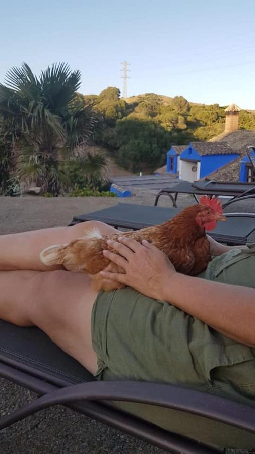 Finca La Cantarera Tarifa Esterno foto