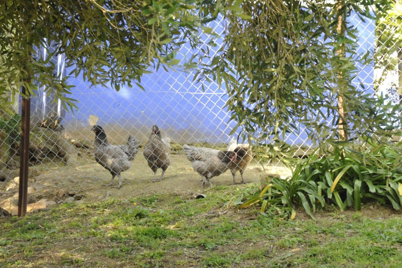 Finca La Cantarera Tarifa Esterno foto